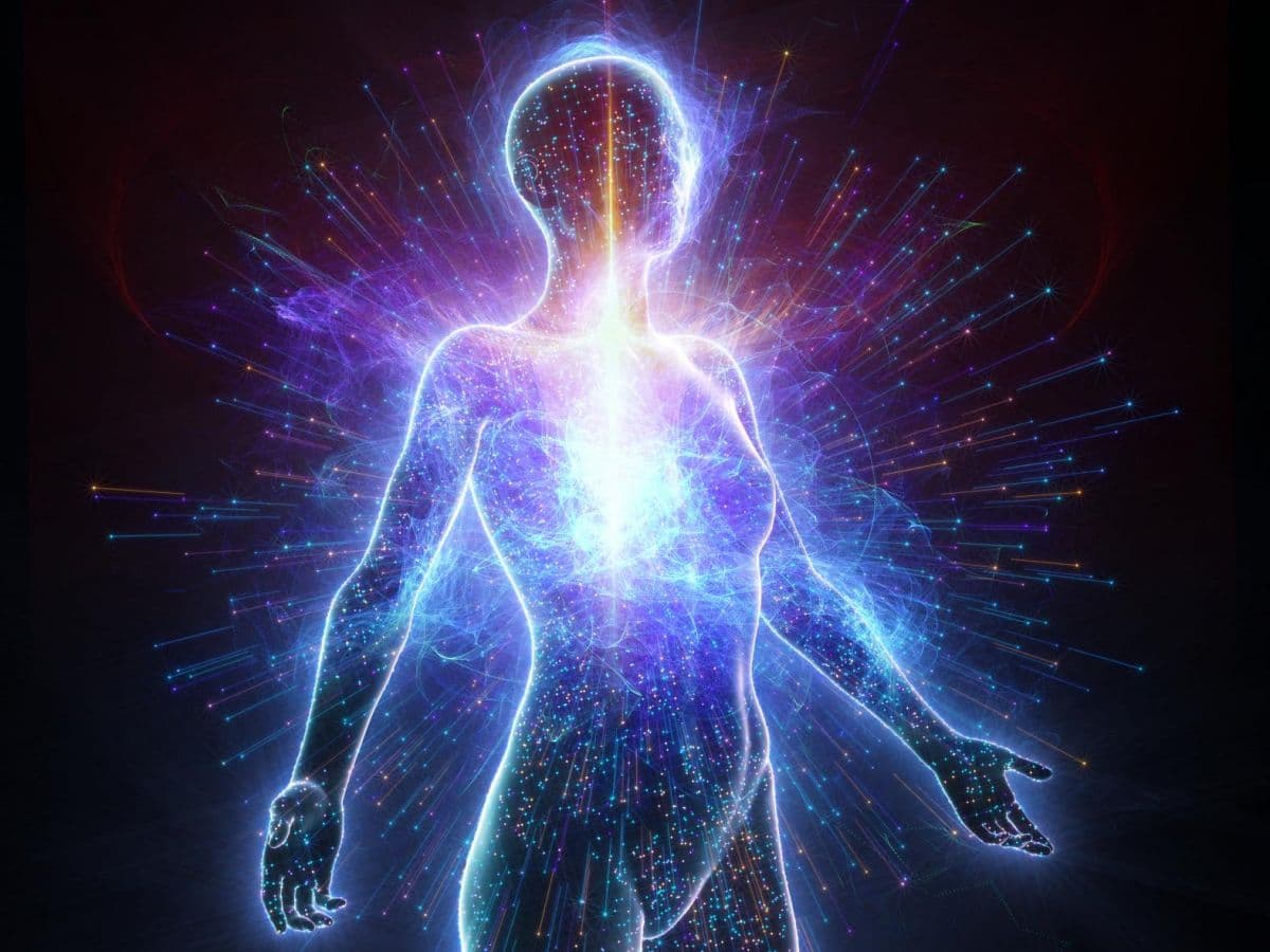 La Naturopathie : L'Art Ancien de Laisser le Corps Se Guérir