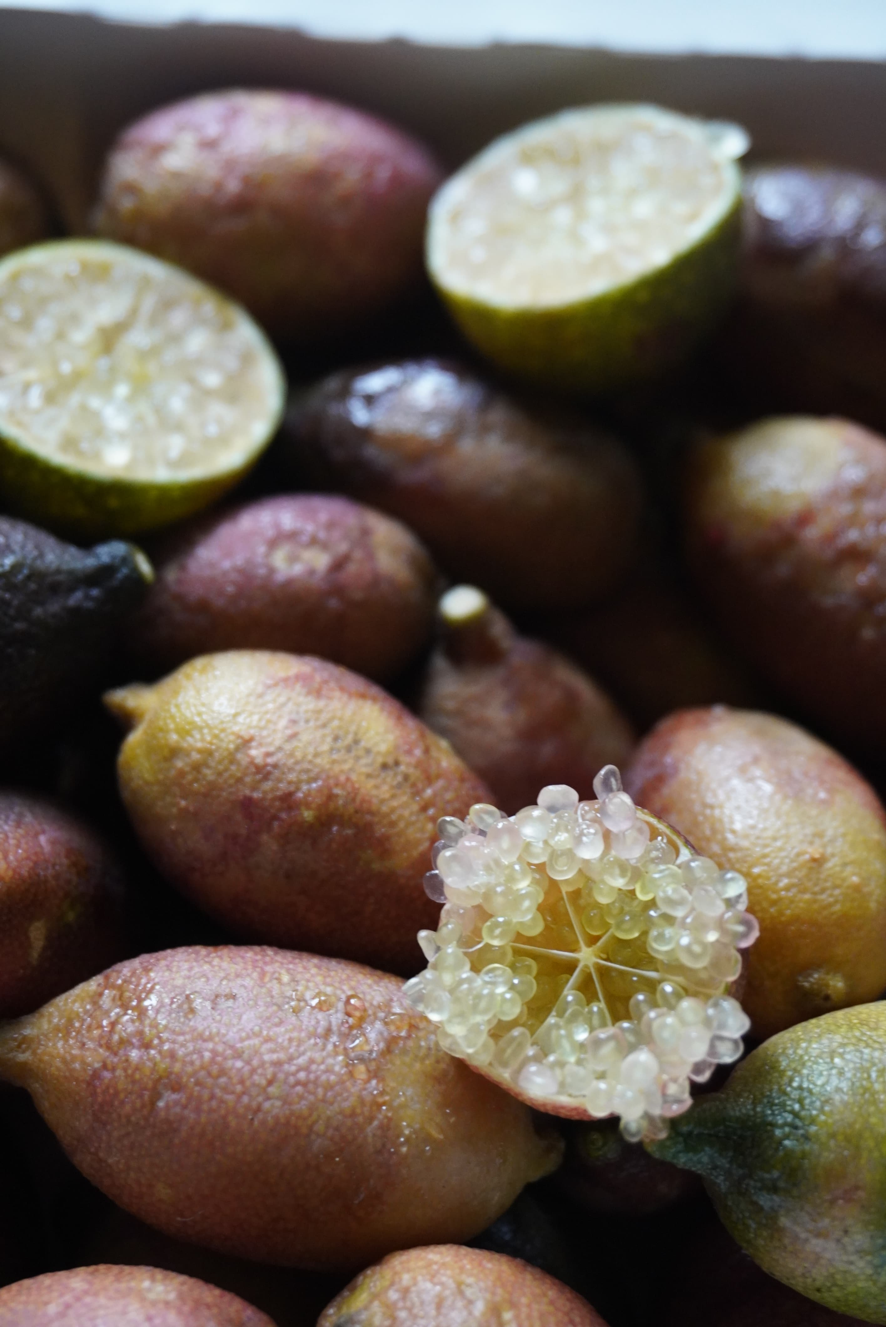 Caviar citron (finger lime) ouvert, macro
