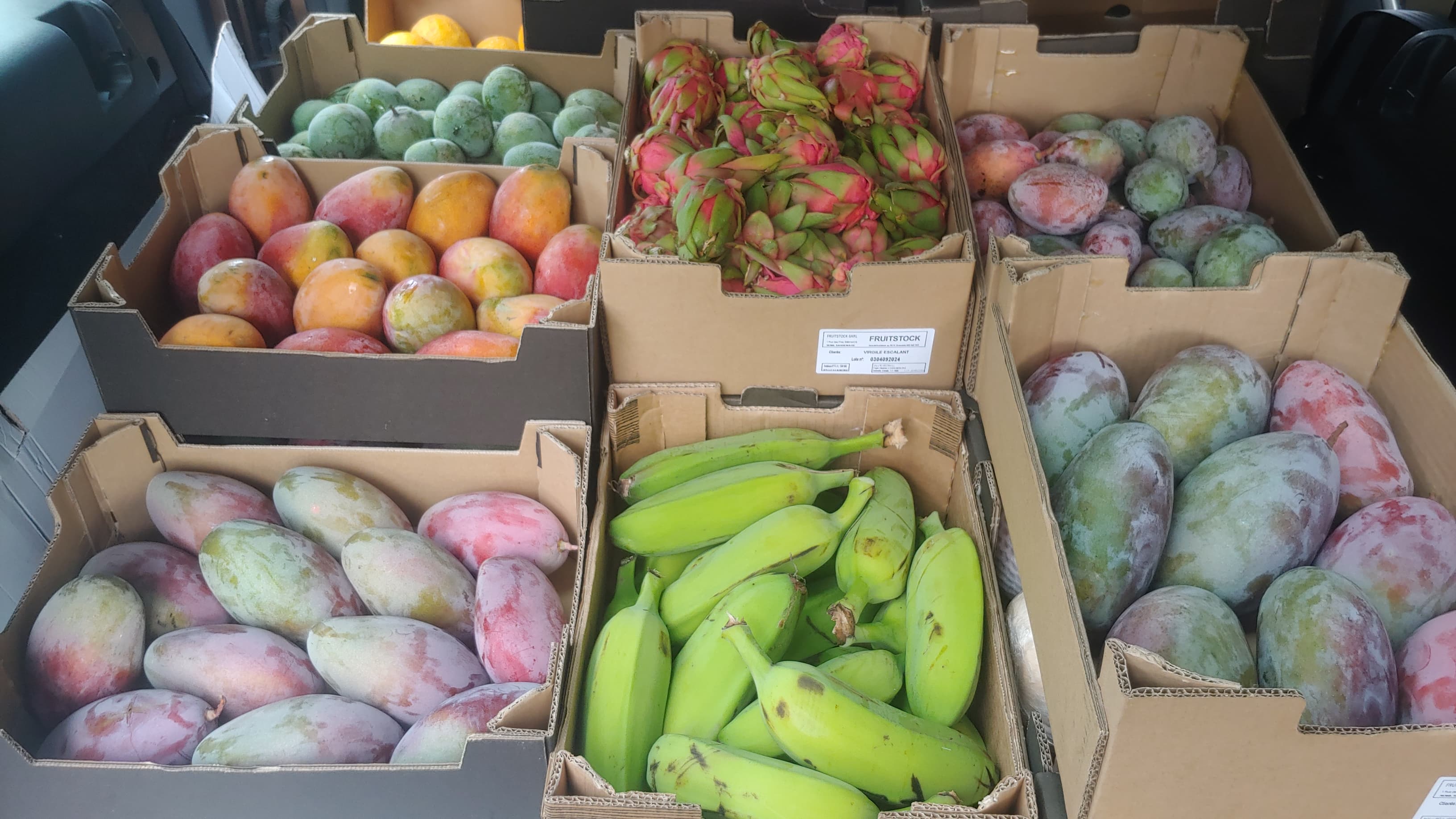 Commande Fruitstock — mangues, pitayas, bananes vertes