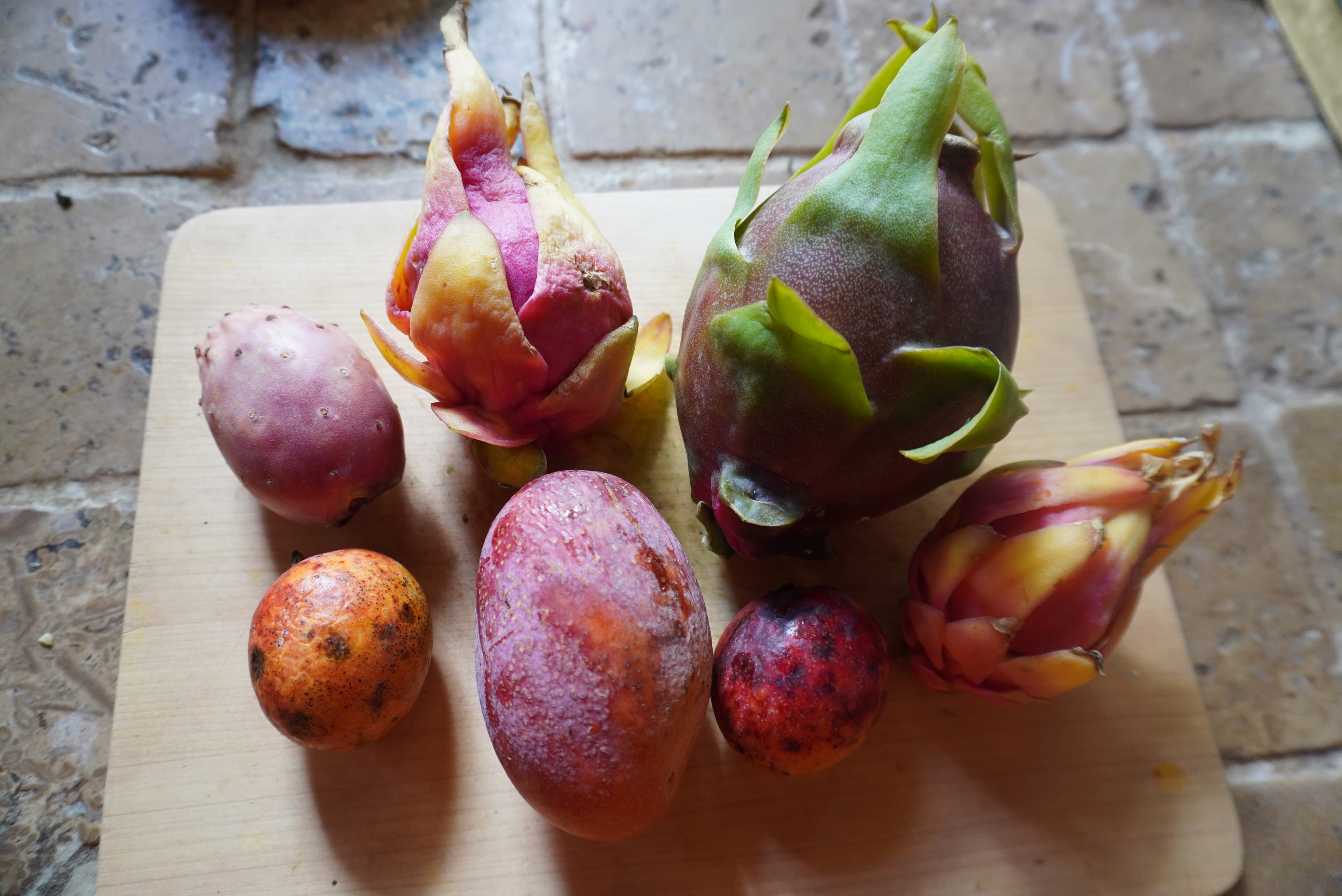 Composition de fruits exotiques Fruitstock — pitayas, mangues, figues de barbarie