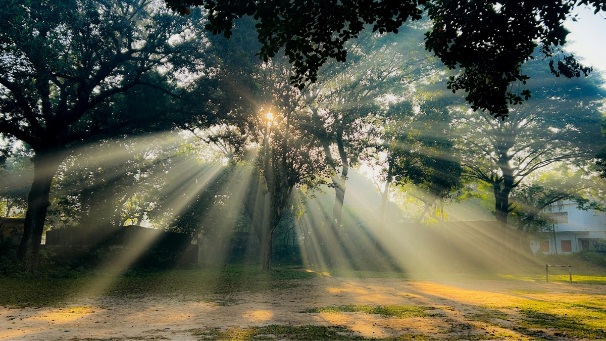 Illustration symbolique de la naturopathie montrant un corps humain entouré de plantes, d'eau, de soleil et de mouvements